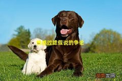 情感过滤假说的争论