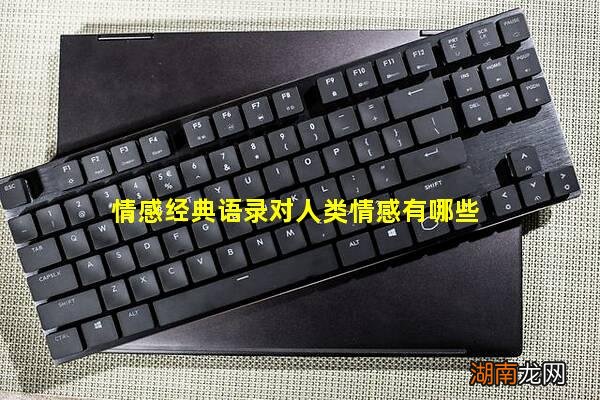 情感经典语录对人类情感有哪些