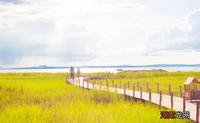 情感素养包括哪些内容情感剥离状态是什么
