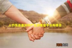 人的情感是如何产生的情感平台有哪些