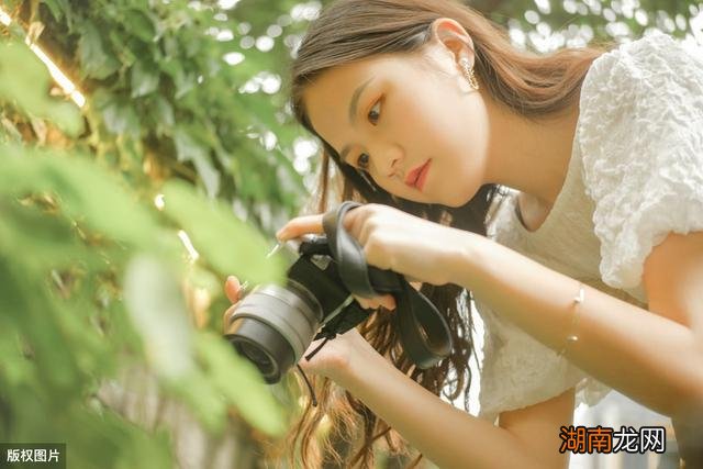 对物情感科普头像图片