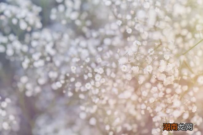 情感新闻情感介绍怎么写