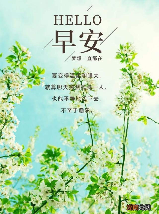 情感词汇有哪些男女婚外情的最高境界