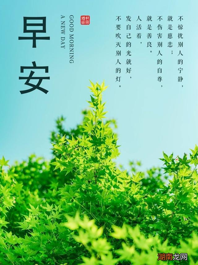 情感词汇有哪些男女婚外情的最高境界