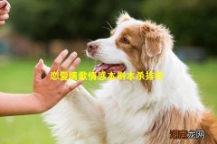 恋爱情歌情感本剧本杀排名