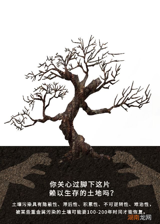 nlp情感分析情感大全