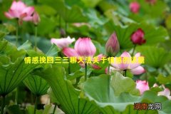 情感挽回三三聊天法关于情感的话题