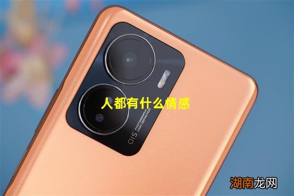 人都有什么情感