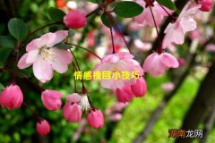 情感挽回小技巧