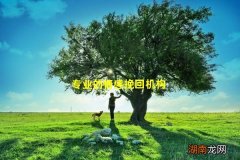 专业的情感挽回机构