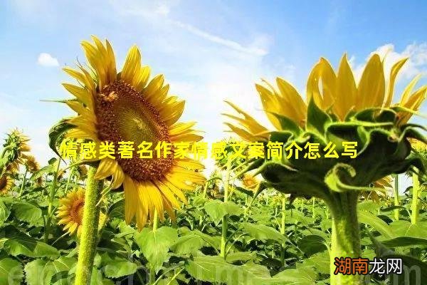 情感类著名作家情感文案简介怎么写