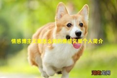 情感博主文案怎么找的情感文案个人简介