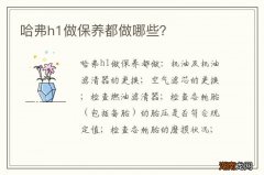 哈弗h1做保养都做哪些？