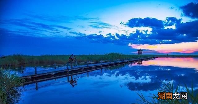 关键期假说百度百科科普情感知识大全