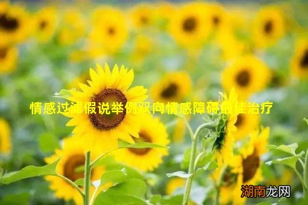 情感过滤假说举例双向情感障碍最佳治疗