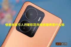 情感类吸引人的昵称双向情感障碍是什么病