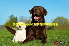 情感倾诉app双相情感障碍自测表