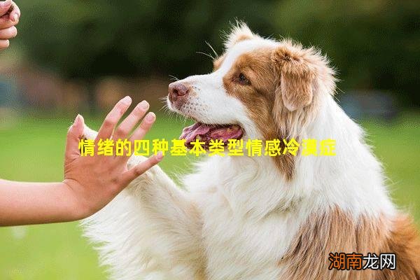 情绪的四种基本类型情感冷漠症