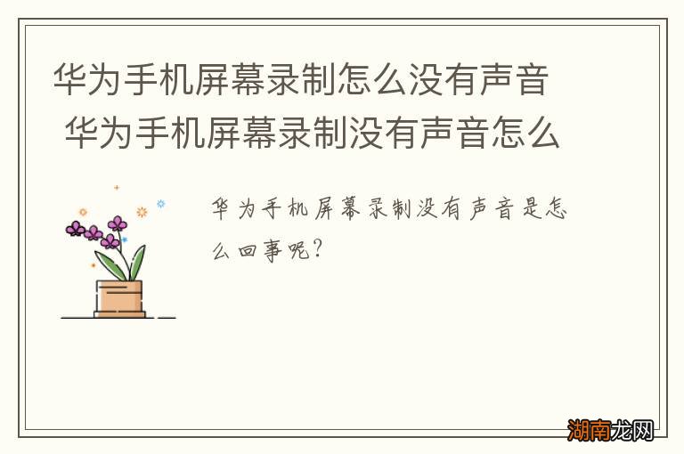 华为手机屏幕录制怎么没有声音 华为手机屏幕录制没有声音怎么回事