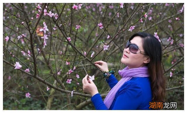 情感二字词情感老师在线咨询免费