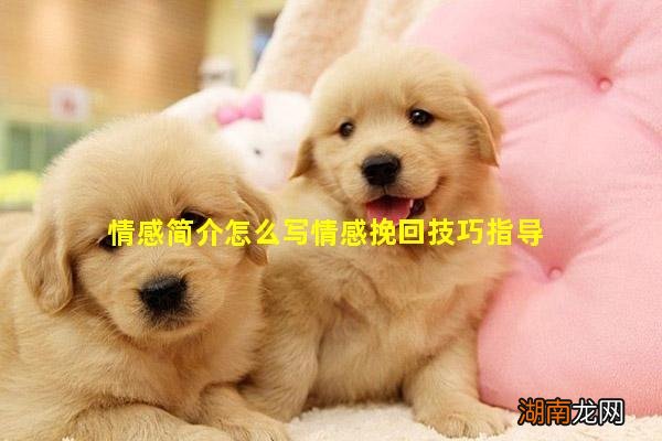 情感简介怎么写情感挽回技巧指导