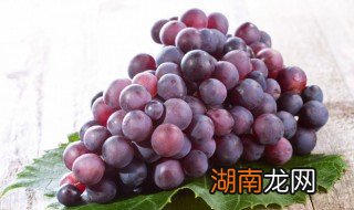 狗能不能吃葡萄 狗狗能吃葡萄吗