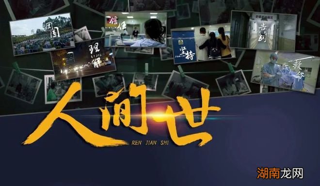 高级婚恋情感咨询师