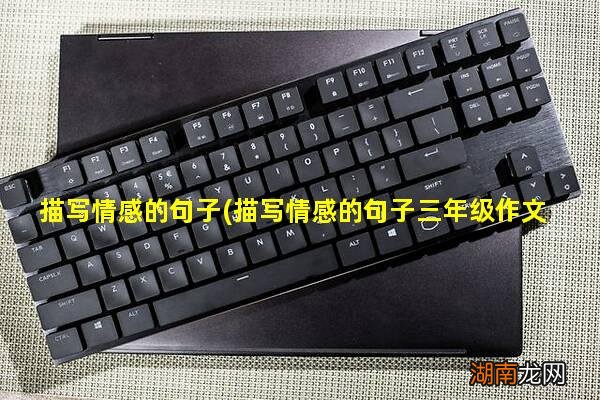 描写情感的句子三年级作文 描写情感的句子