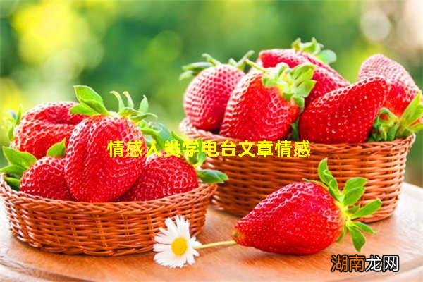 情感人类学电台文章情感