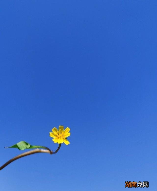 人类的情感分为几种男女情感心语