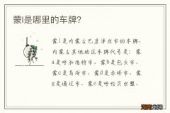 蒙l是哪里的车牌？