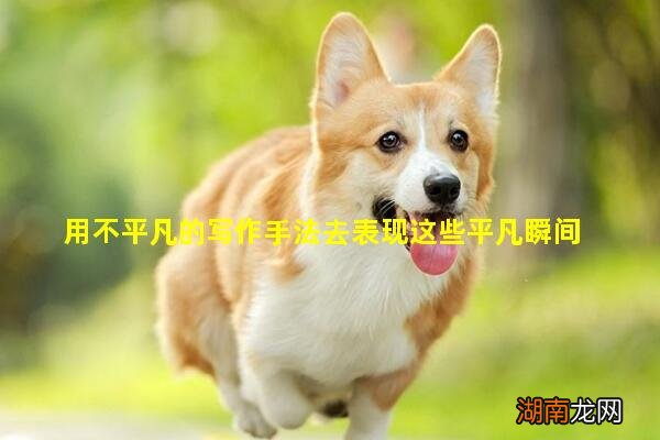 用不平凡的写作手法去表现这些平凡瞬间