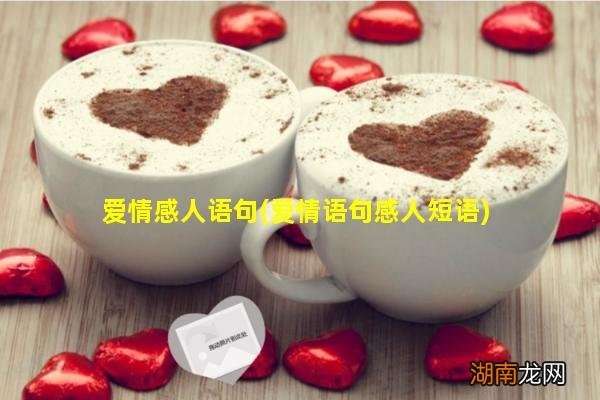 爱情语句感人短语 爱情感人语句