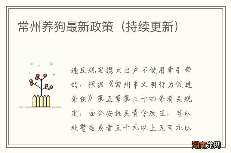持续更新 常州养狗最新政策