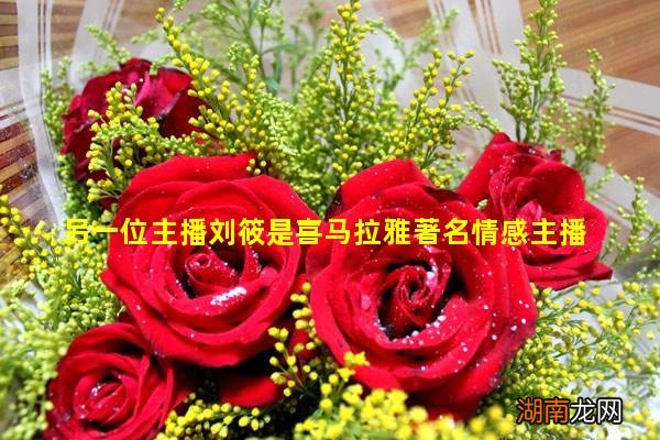 另一位主播刘筱是喜马拉雅著名情感主播