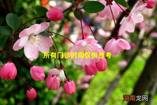 所有门诊时间仅供参考