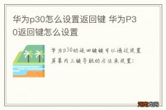华为p30怎么设置返回键 华为P30返回键怎么设置