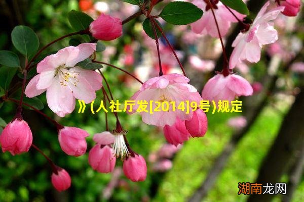 人社厅发[2014]9号 》规定