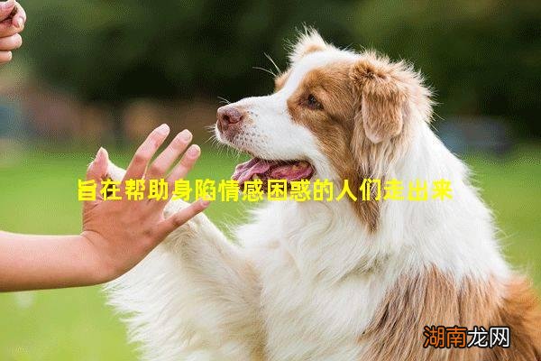 旨在帮助身陷情感困惑的人们走出来