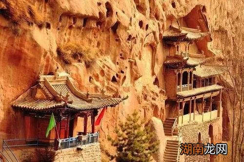 1、米象是贮藏谷物的主要害虫