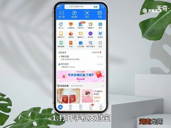 支付宝怎么看年度账单 支付宝怎么查看年度账单