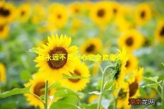 且永远不用担心它会欺骗你