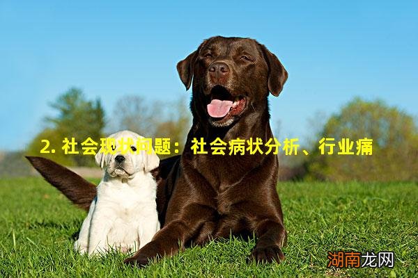 2. 社会现状问题:社会病状分析、行业痛点问题剖析(着重于医疗、企业、教育、艺术