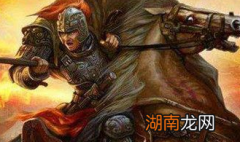 历史上杨坚在朝堂杀死大将史万岁是真的吗？