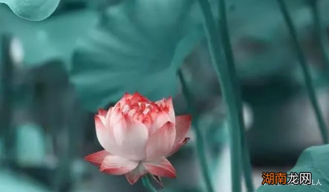 无论境况多么糟糕