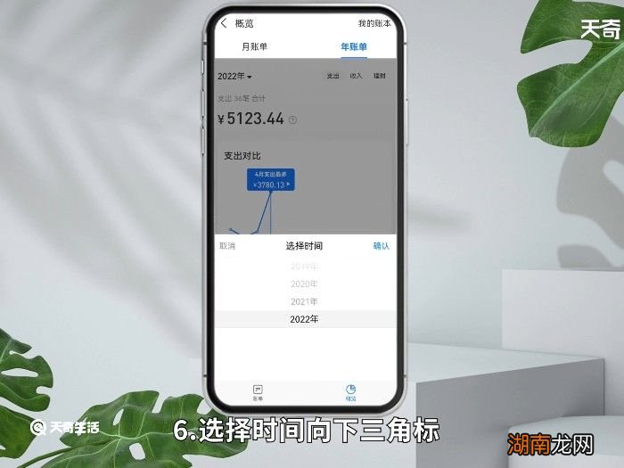 支付宝查年度账单怎么查,支付宝怎么查询年度账单
