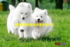 澎湃新闻仅提供信息发布平台