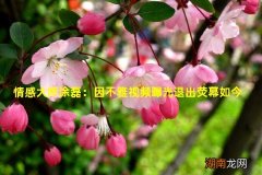 情感大师涂磊：因不雅视频曝光退出荧幕如今直播带货获千万粉丝