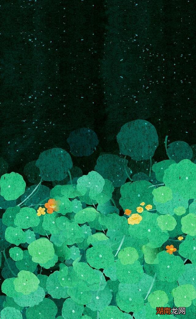 正能量情感语录用无限的热情去拥抱世界总是没错的