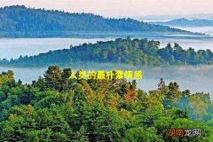 人类的最朴素情感